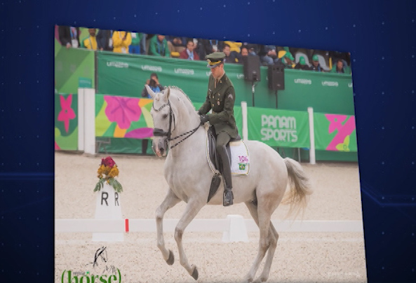 Foto: Revista Horse/ reprodução