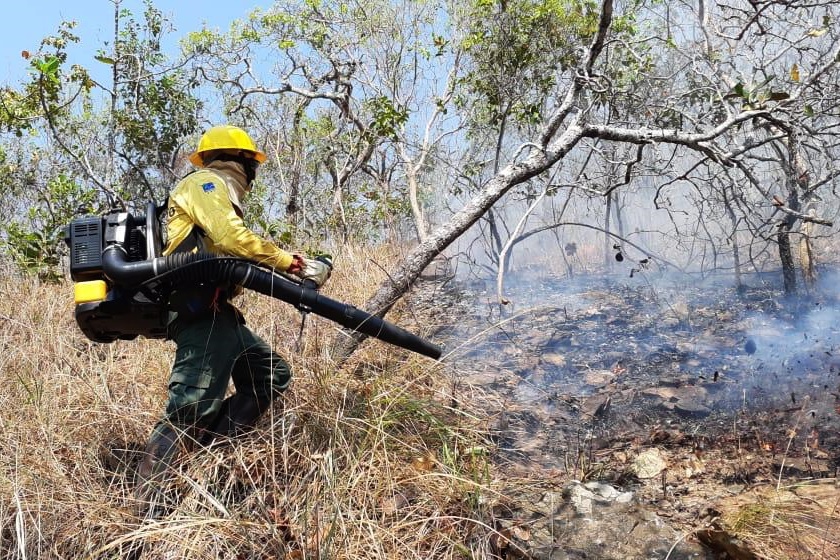 incêndio, queimadas