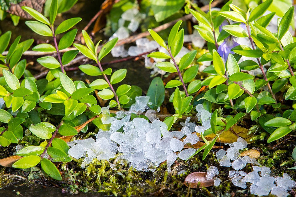 Pedras de granizo sobre grama