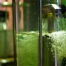 etanol, Biocombustível, Renovabio