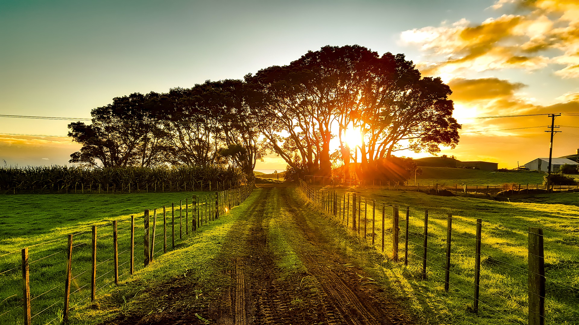 Fazenda sol clima, tempo