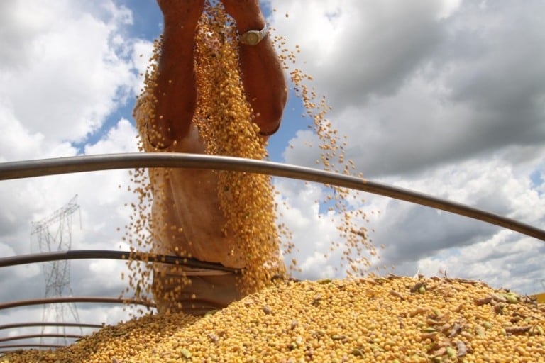 soja, produção, colheita soja, produção, colheita