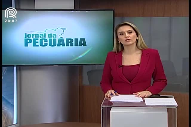 Suíno vivo: preços voltam a cair em Minas Gerais