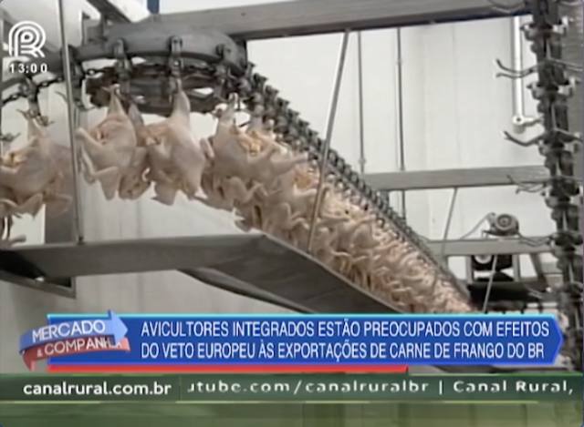 Embargo à carne de frango afeta 130 mil famílias