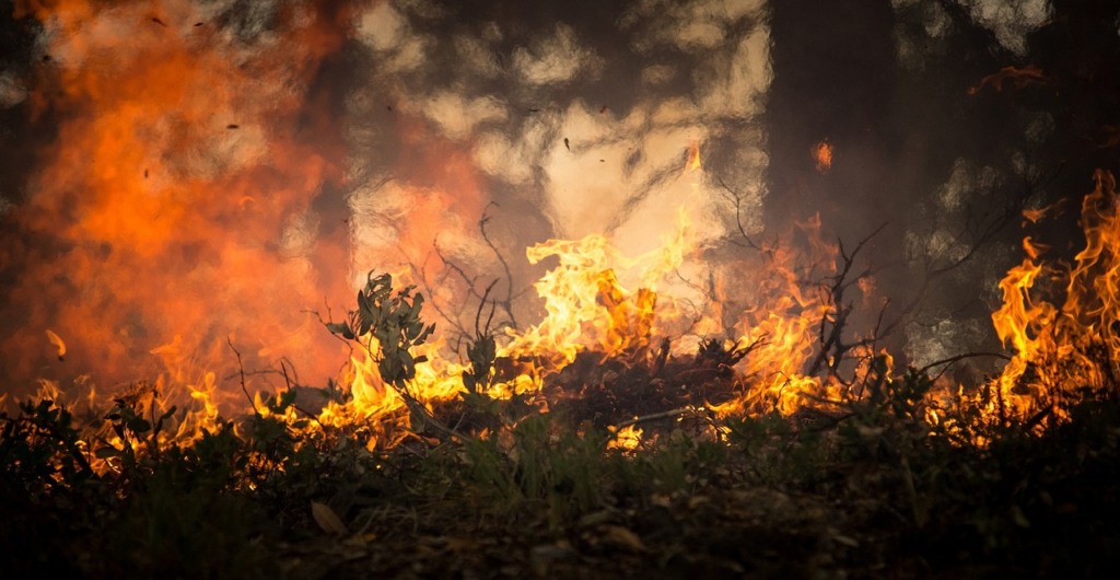 queimada, incêndios