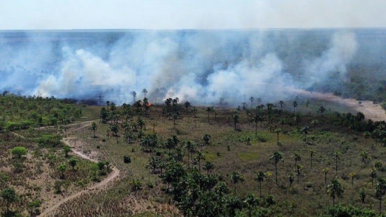 Incêndio florestal atinge área de quase 3 mil ha no Anel da Soja, queimadas, chamas, fogo