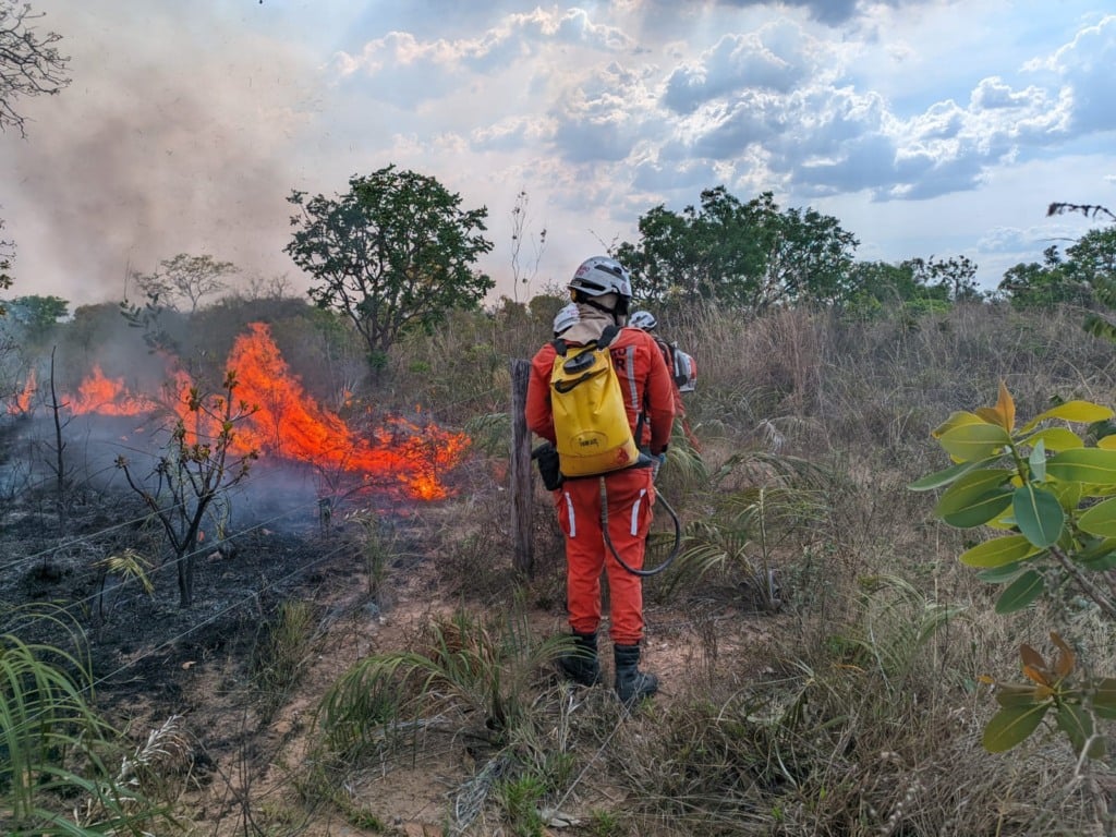 Incêndio florestal atinge área de quase 3 mil ha no Anel da Soja, fogo, oeste da bahia