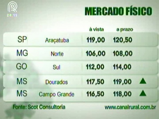 Mercado do boi gordo fecha a semana com poucos negócios