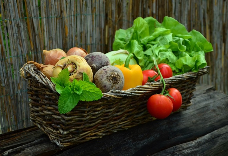 Empresa lança cartão alimentação para o meio rural na Expointer