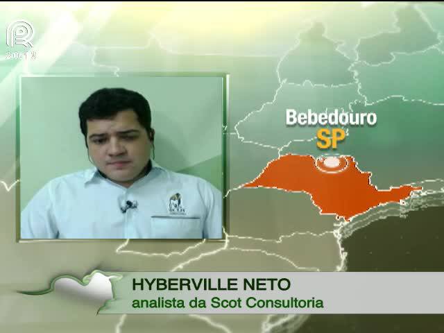 Boi gordo: BM&F suspende operações após arroba desvalorizar R$ 5