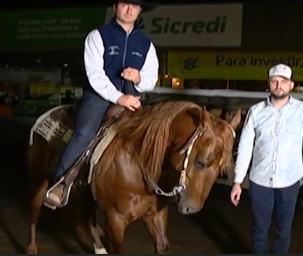 Cavalo Crioulo, Expointer