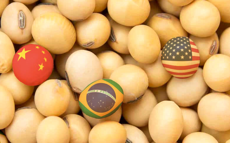 Estados Unidos vender 4 vezes mais soja à China é inviável, avalia consultoria