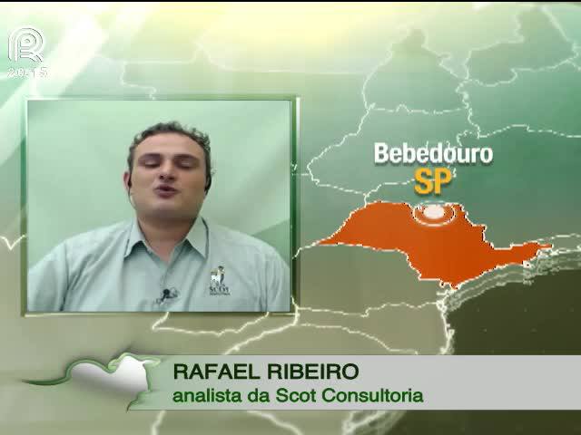 Análise: o preço do milho e o bolso do pecuarista