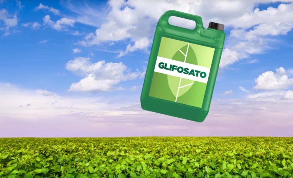 glifosato herbicida