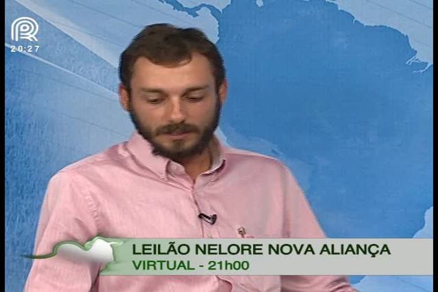 Confira os detalhes do Leilão Virtual Nelore Nova Aliança