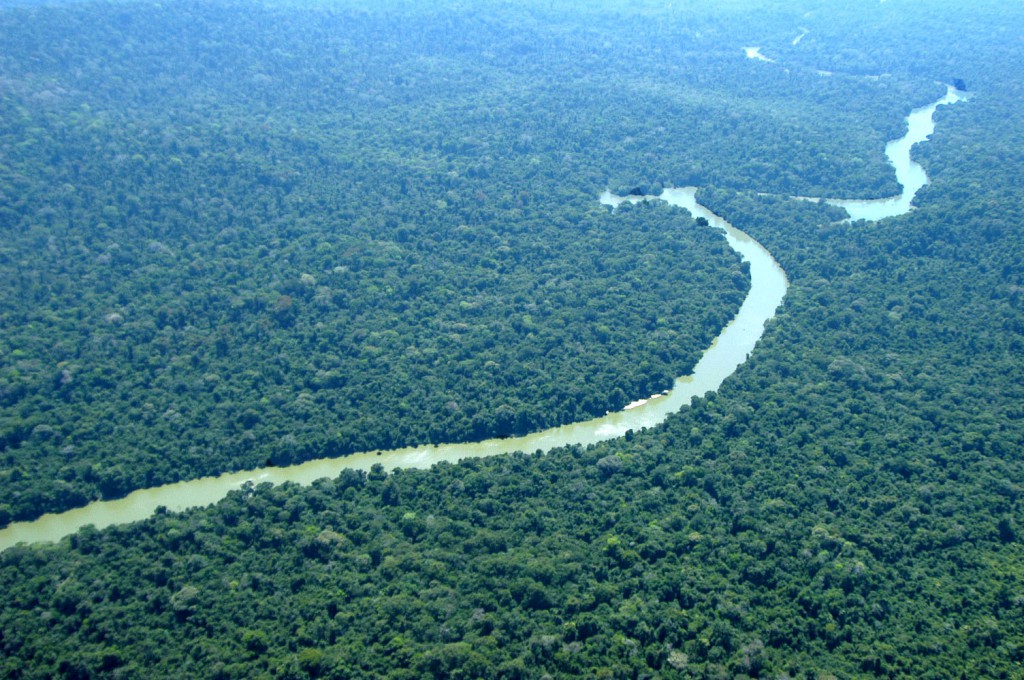 floresta amazônica