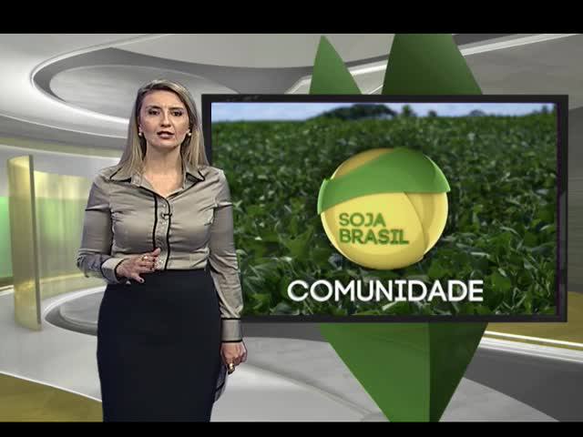 Comunidade Soja Brasil - 11/11