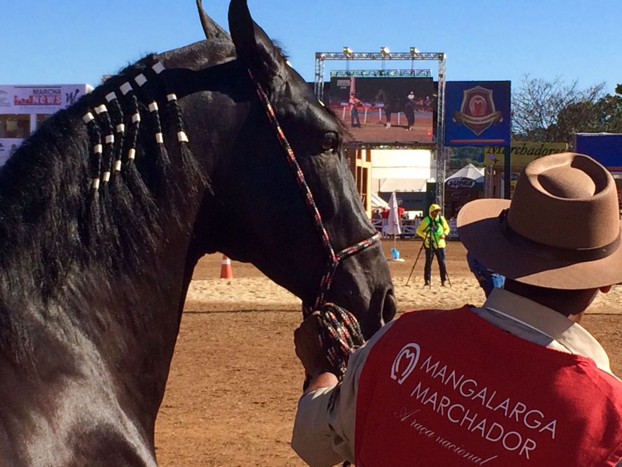 MG: Haras Sapecado lidera com 617 pontos o ranking da morfologia