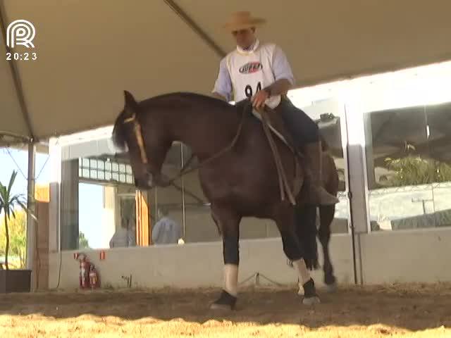 Freio de Ouro: disputa fica cada vez mais acirrada