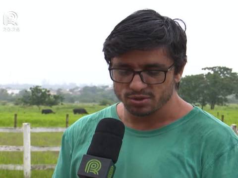 Doença do casco reduz produtividade de leite em SP