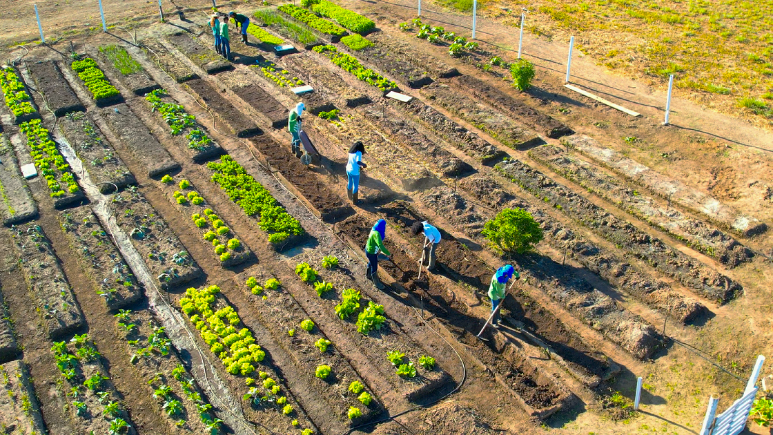 Jovens aprendizes se transformam em mão de obra qualificada para o setor produtivo