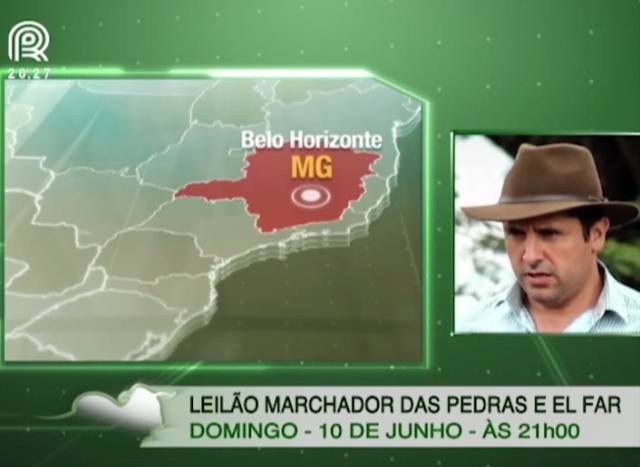 Leilão oferta mangalarga marchador neste domingo