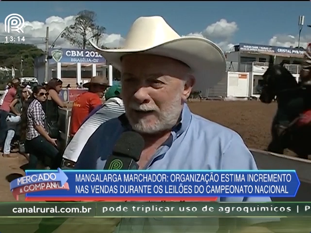 Evento do mangalarga marchador registra recorde na venda de embriões