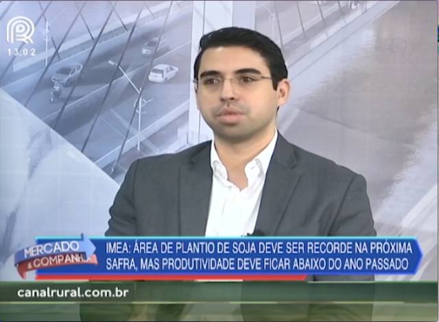 MT: área de plantio de soja deve ser recorde