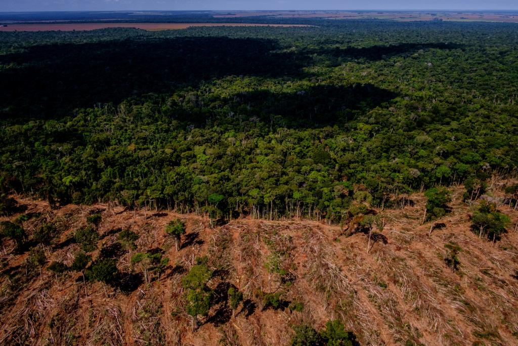 Amazônia, fazenda