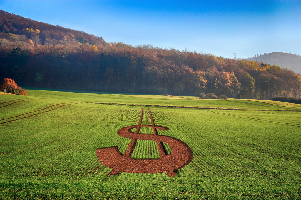 lca, economia, governo, cna, agricultura, mp do agro