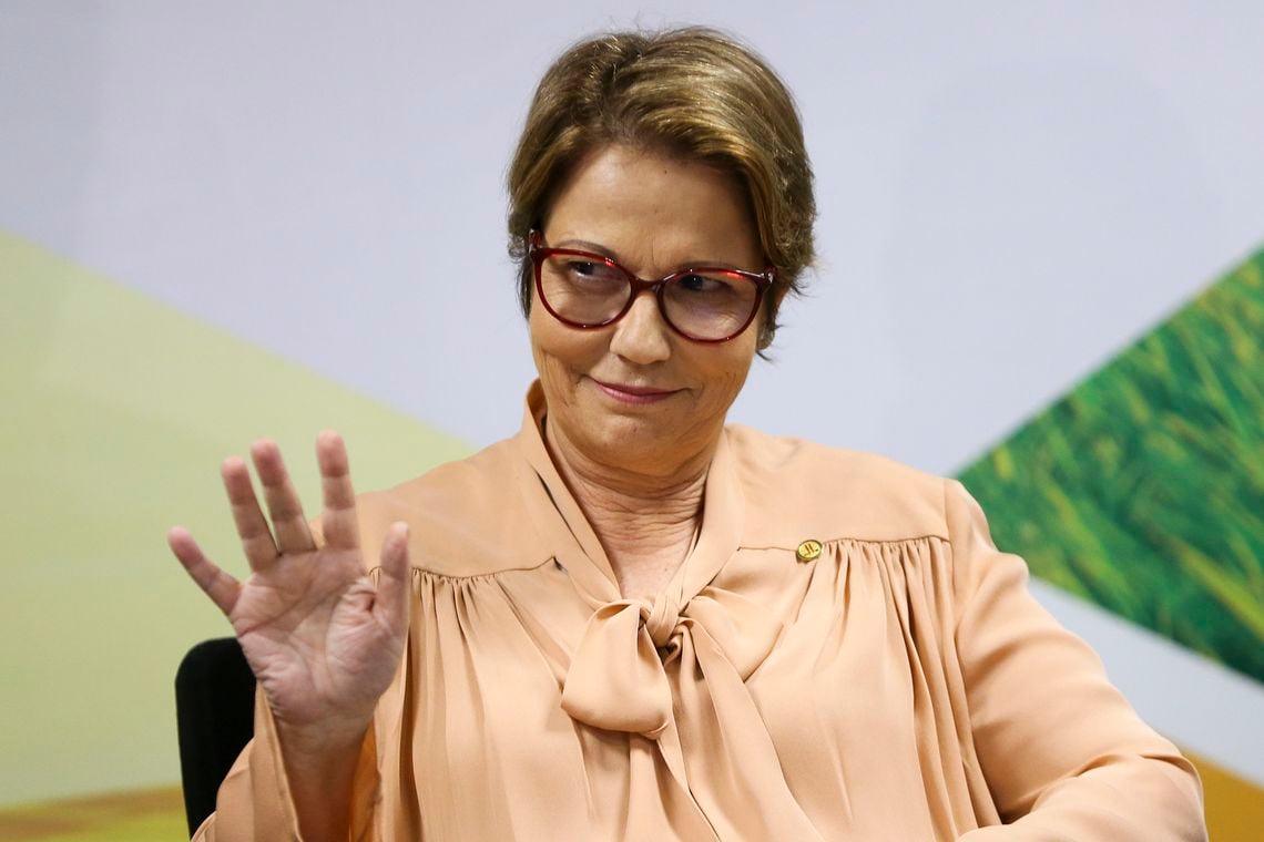 Ministra da Agricultura, Tereza Cristina