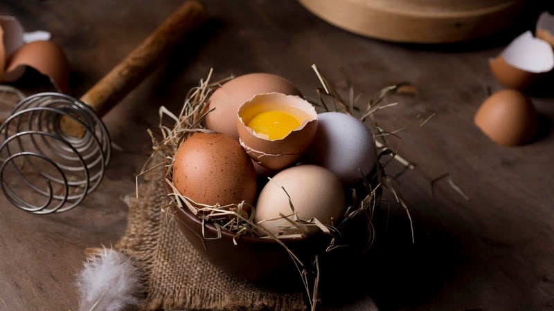 Dia Mundial do Ovo: saiba como esse alimento poderoso pode transformar sua saúde