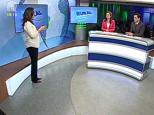 Confira a previsão do tempo com Pryscilla Paiva