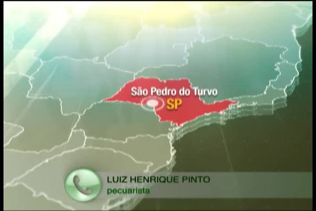 Furto de 70 cabeças: pecuarista oferece recompensa