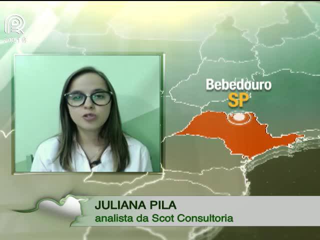 Saiba por que o suíno valorizou em quatro praças