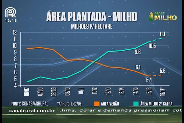 Segunda safra de milho deve ser recorde