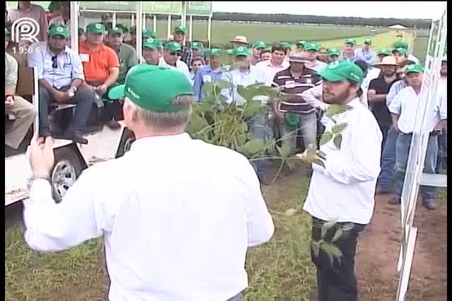 Parceria ajuda produtor no manejo de solo arenoso