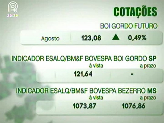 Confira como estão os preços no mercado do boi gordo