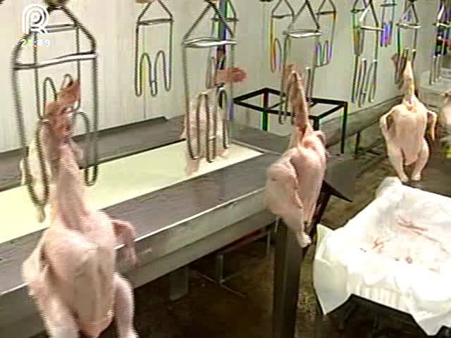 Carne de frango perde competitividade para bovina