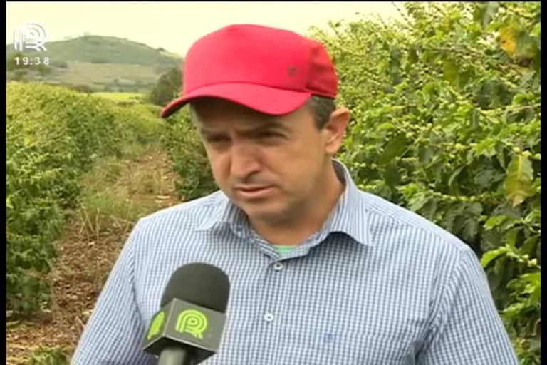 Café: para produtores de MG, chuva não pode parar Café: para produtores de MG, chuva não pode parar
