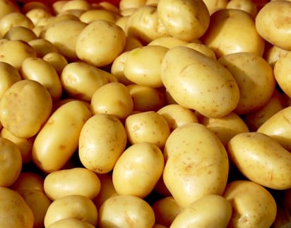Batata: oferta maior reforça queda nas cotações