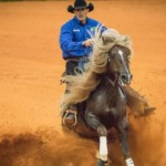 F5 Licurgo Tapajós, o Loiro, cavalo crioulo