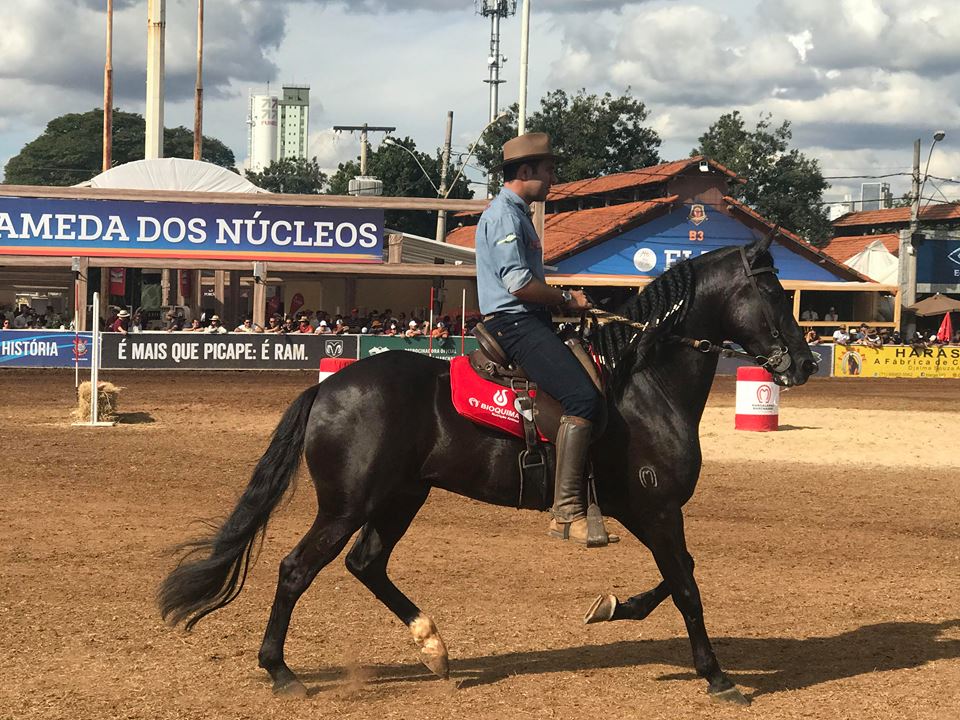 Foto: Fábio Santos/Canal Rural