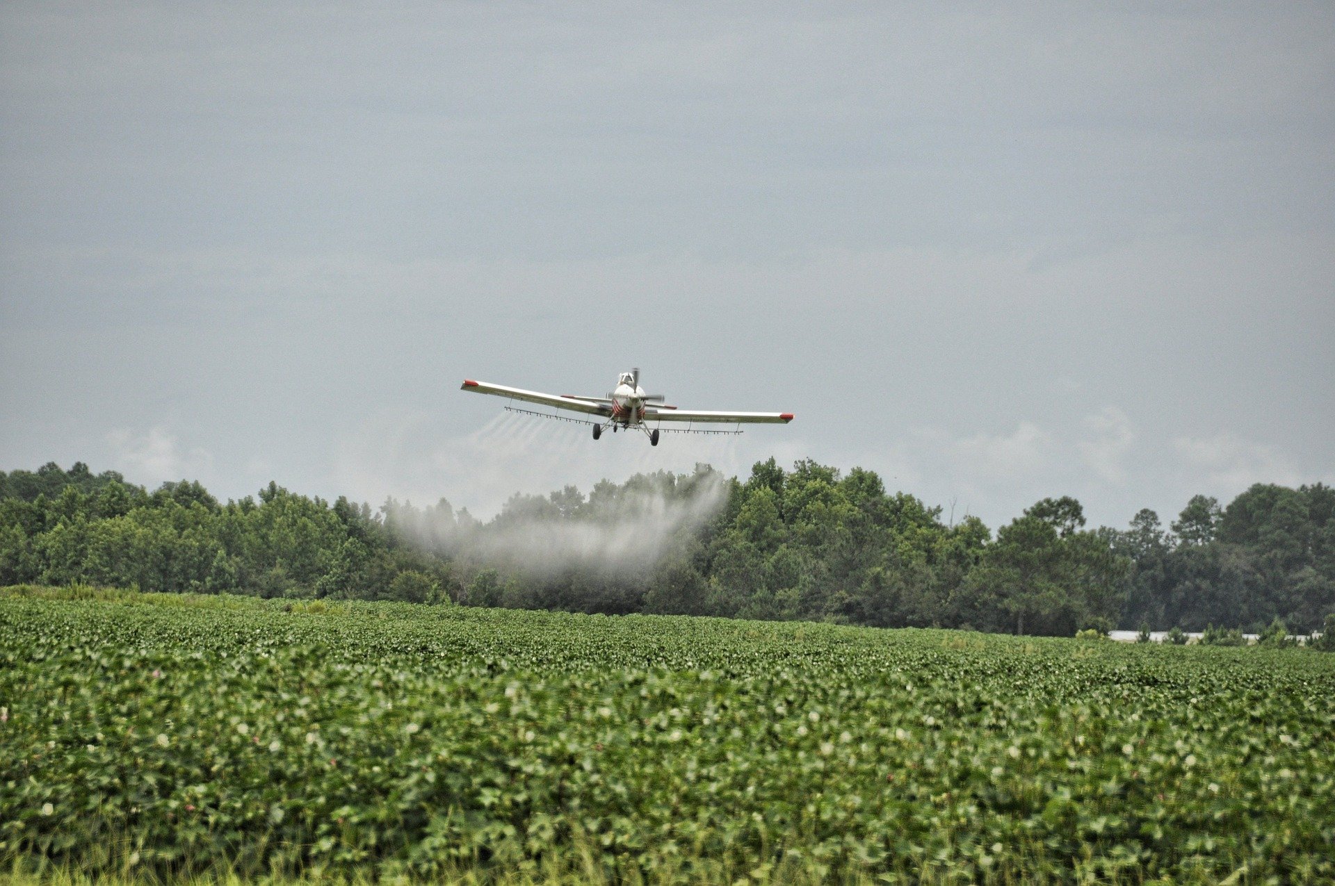 avião agrícola fazendo pulverização