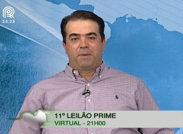 Nelore: veja os destaques do leilão Virtual Prime