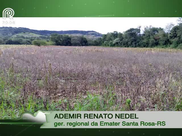 Leite: chuva deixa 13 milhões de litros represados