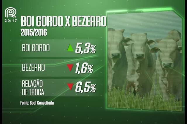 Boi x Bezerro: saiba a relação de troca em 2016