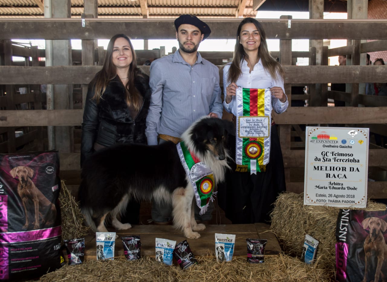 Teimoso, grande campeão e melhor da raça na Expointer 2018