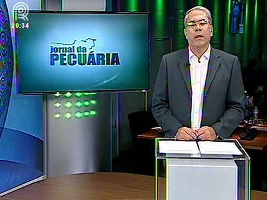 Rebanho Gordo: Dieta de engorda ideal alia alto desempenho e custos reduzidos