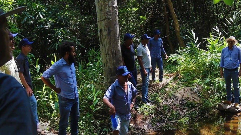 Projeto, recuparação de nascentes, Nascentes do Oeste, Bahia, Aiba, meio ambiente